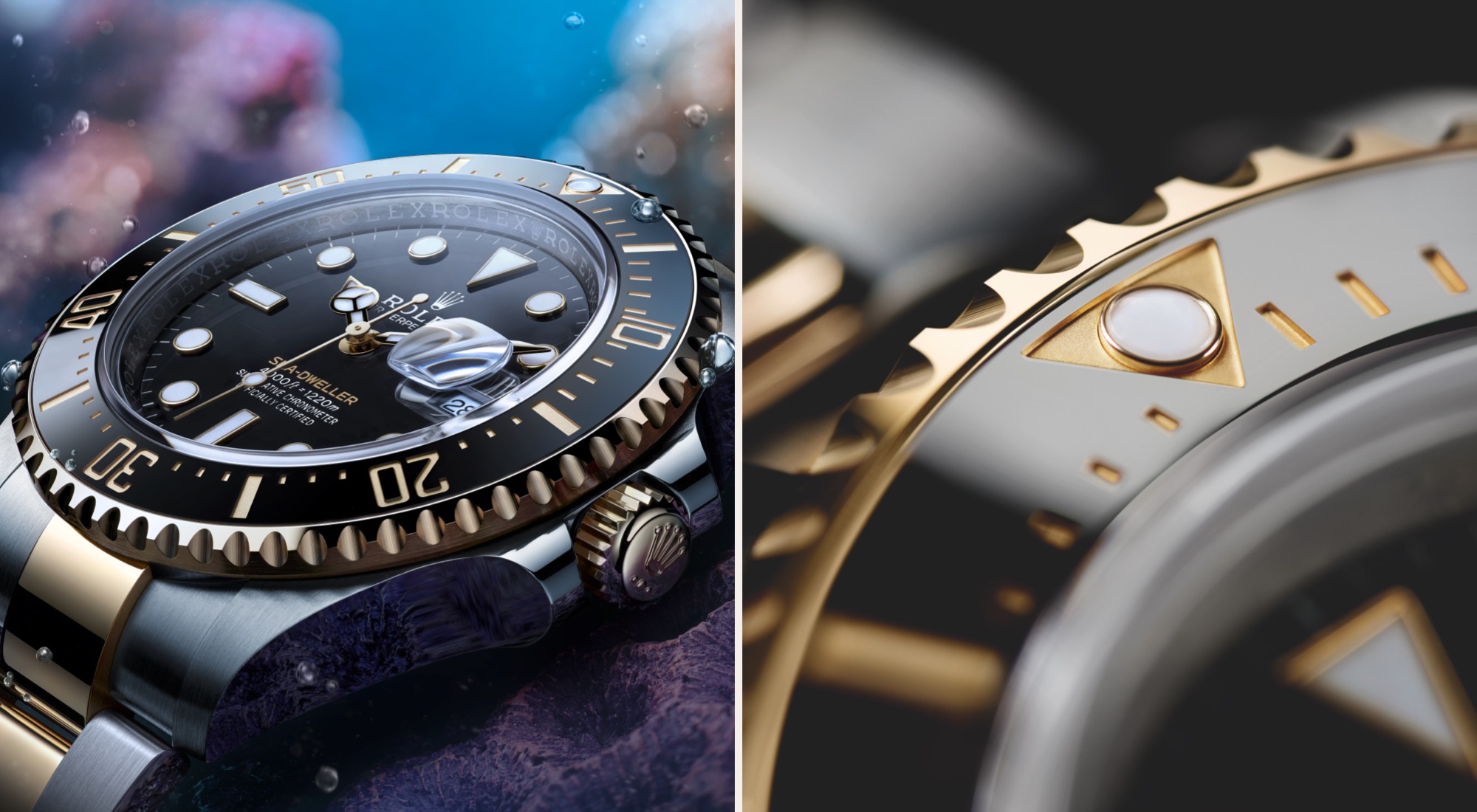 Rolex Sea-Dweller in Oystersteel and yellow gold Rolesor with black dial and Cyclops lens over the date, resting on underwater rocks in an aquatic environment, alongside a close-up of the yellow gold bezel, bracelet and case lug detail