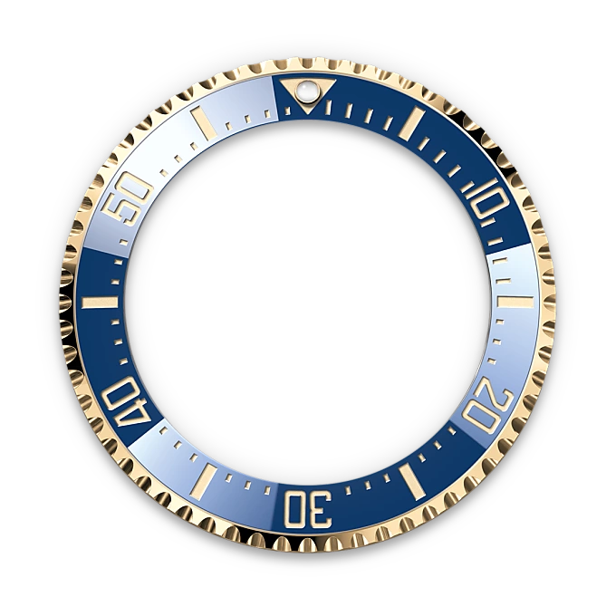Rolex Watch M136668LB-0001