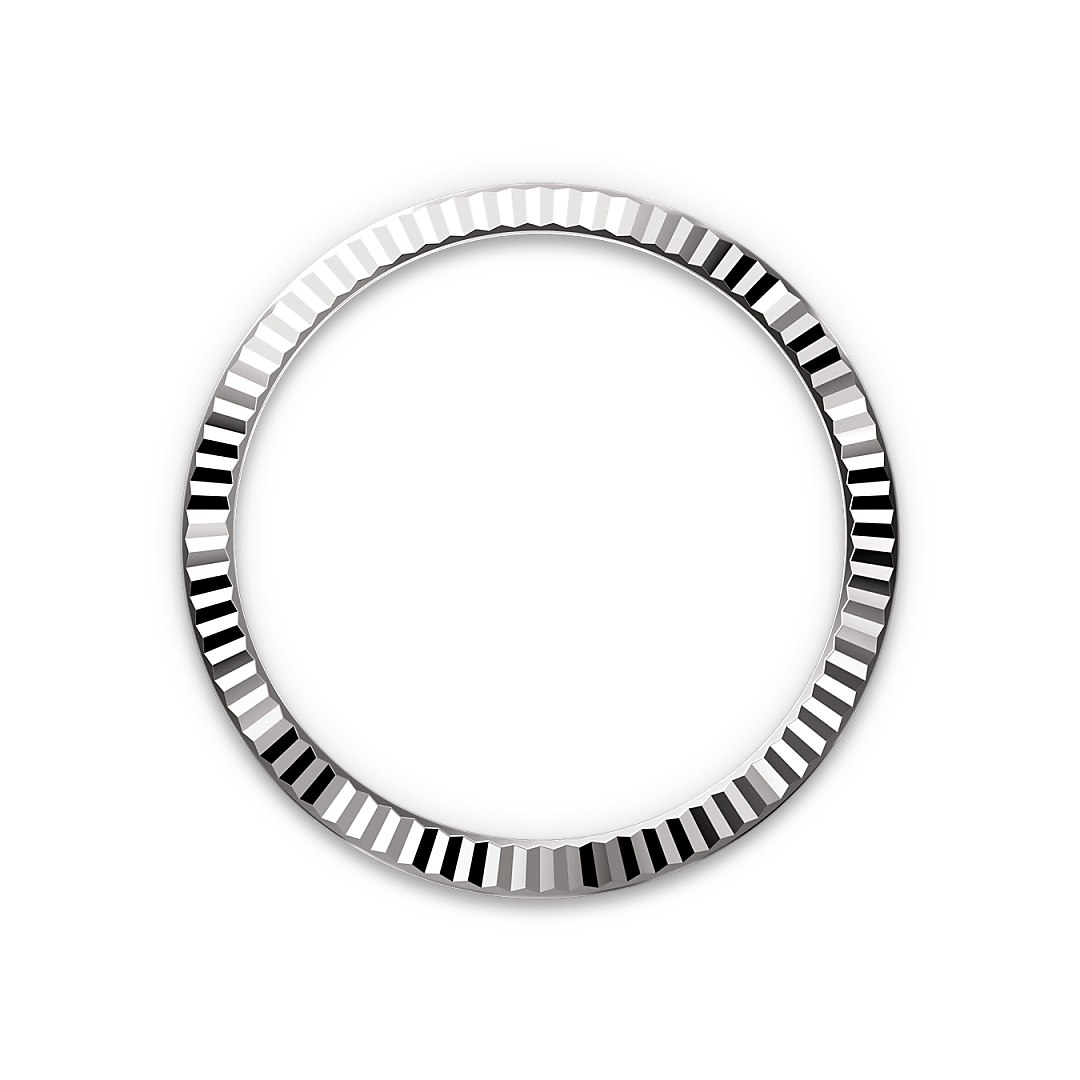 Rolex Watch M228239-0076