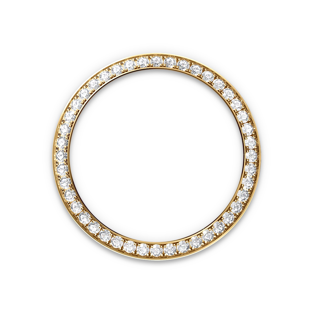 Rolex Watch M276248RBR-0001