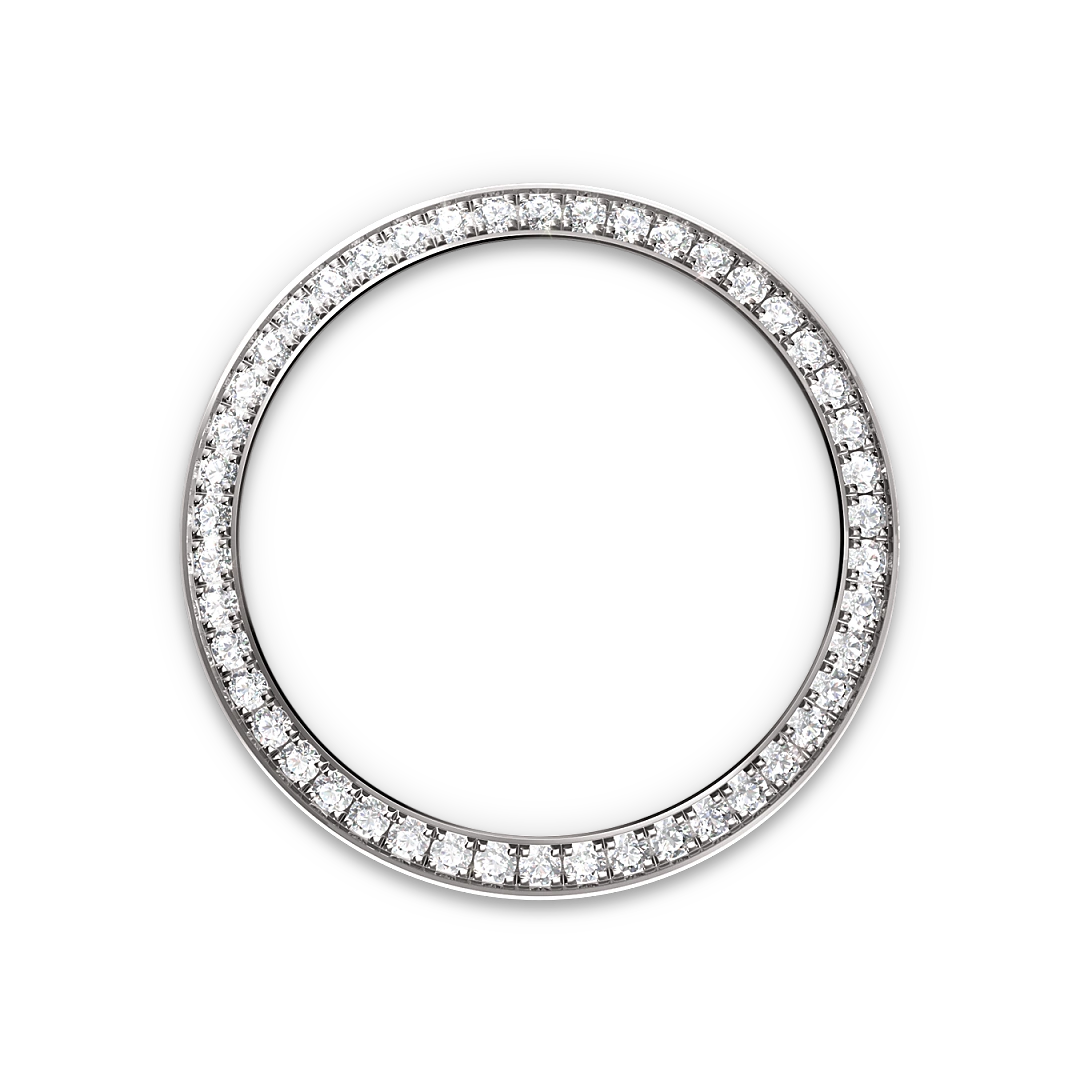 Rolex Watch M279384RBR-0021