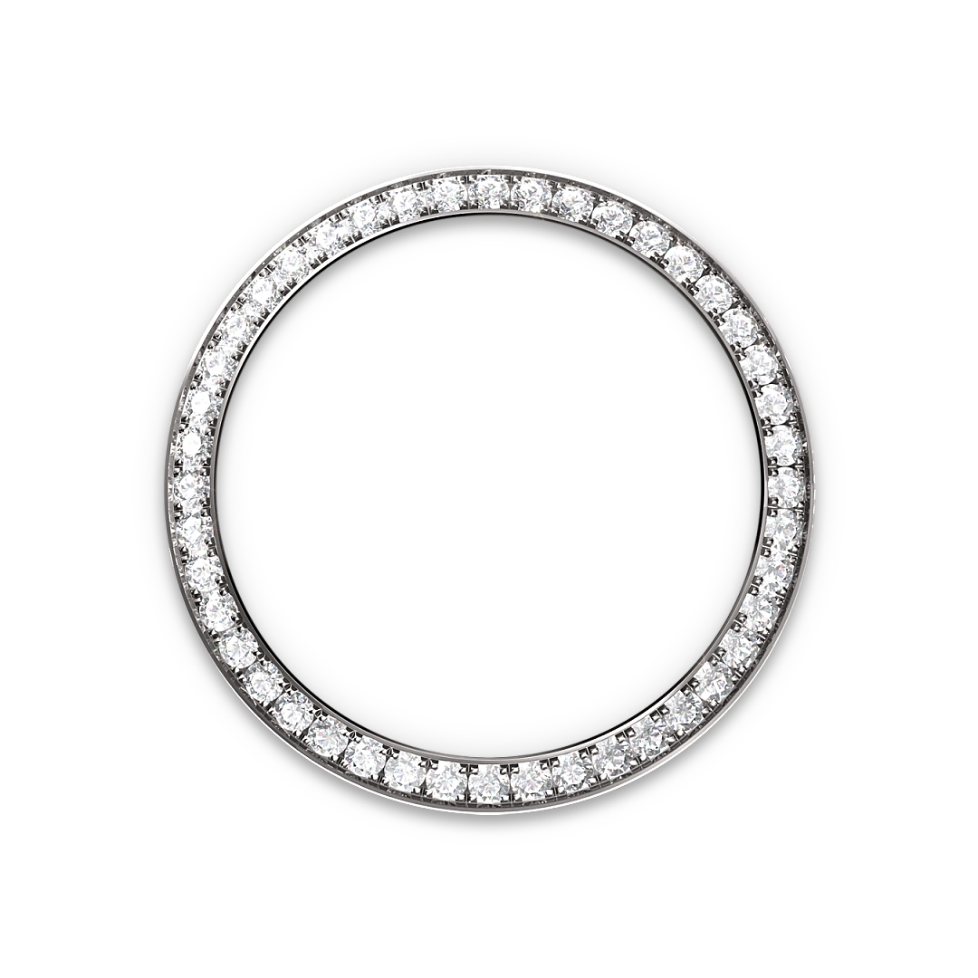 Rolex Watch M279459RBR-0001